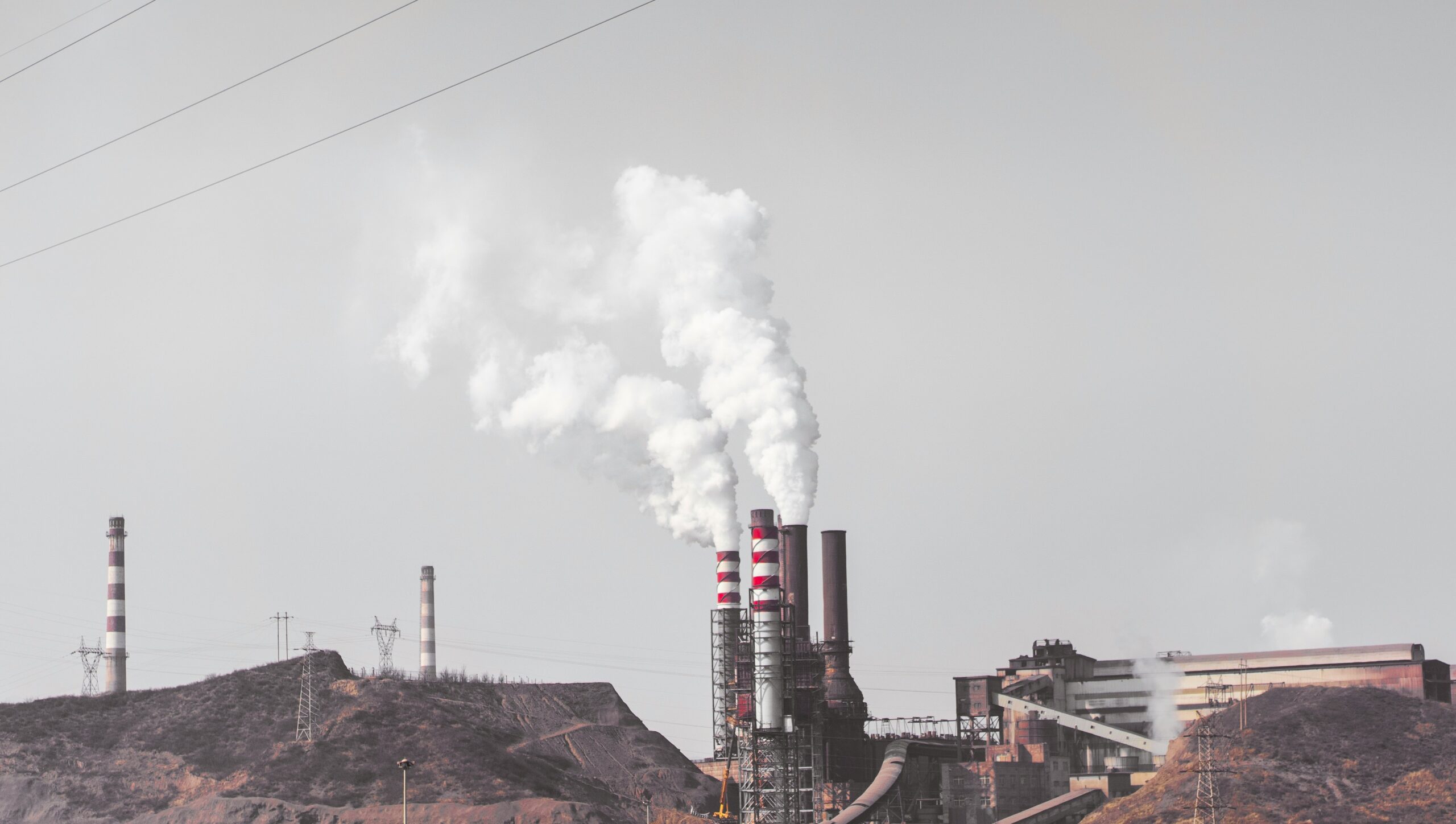 Breathing Easy? The Effects of BC Wildfires on Toronto’s Summer Air Quality